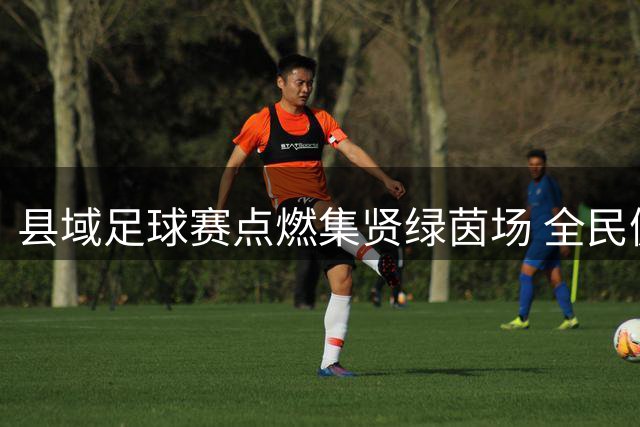 县域足球赛点燃集贤绿茵场 全民健身热潮涌动